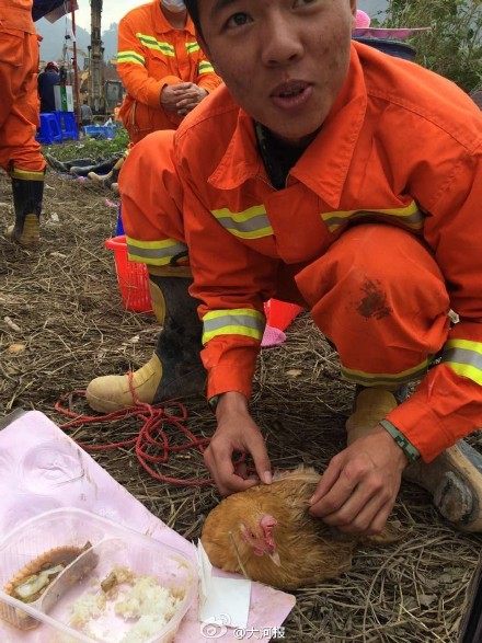 圖片來源:大河報微博
