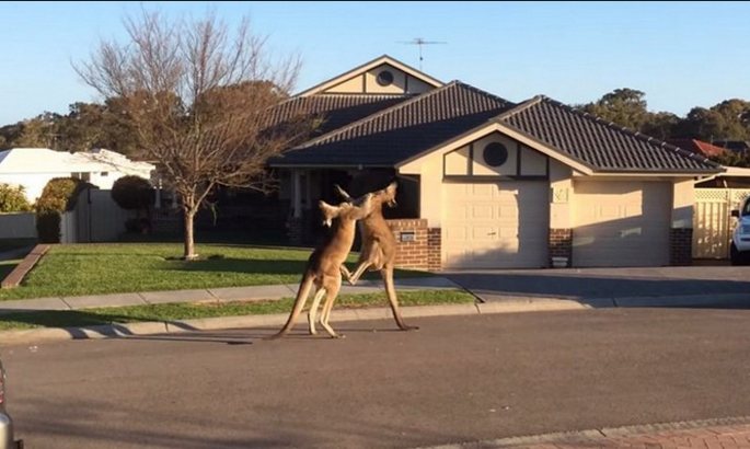 圖片來源:travel.people.cn