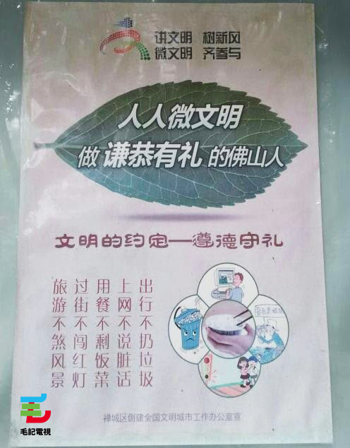 圖片來源:毛毛