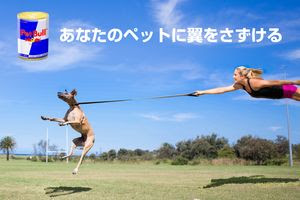 圖片來源: Red Bull