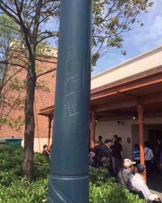 圖片來源:澎湃新聞