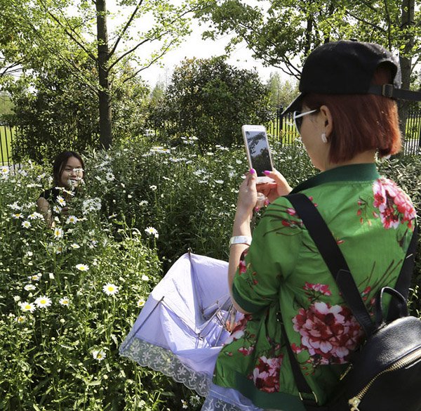 圖片來源:澎湃新聞