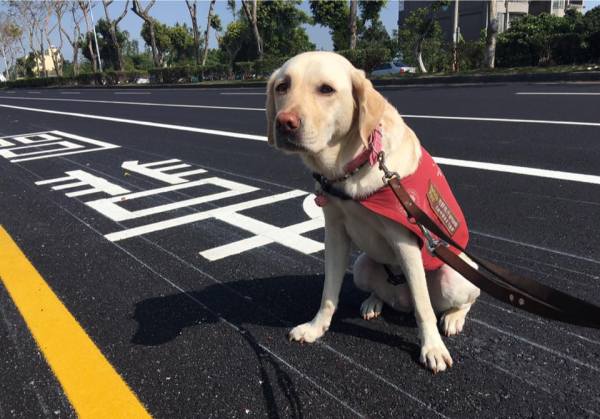 圖片來源:當Betty遇見Bagel