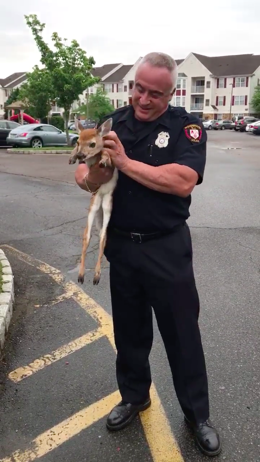 圖片來源:Woodbridge Police Department