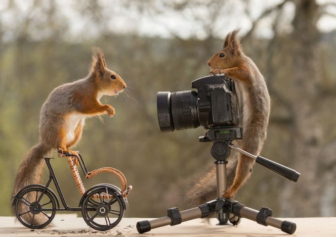 圖片來源:geert weggen