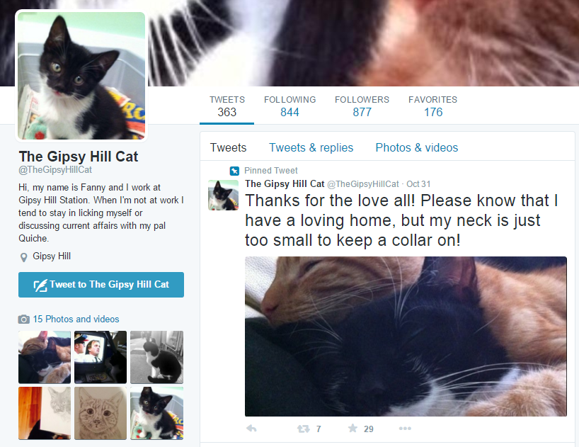 圖片來源：The Gipsy Hill Cat twitter