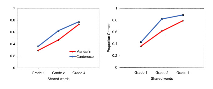 圖片來源：Phonological Awareness of Bilingual and Monolingual Chinese Children