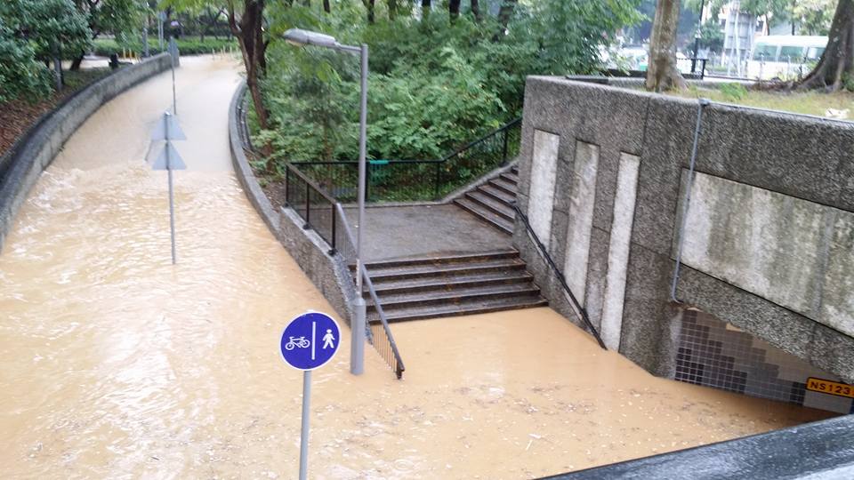 圖片來源：Tang Chi Ho/‎Tai Po 大埔