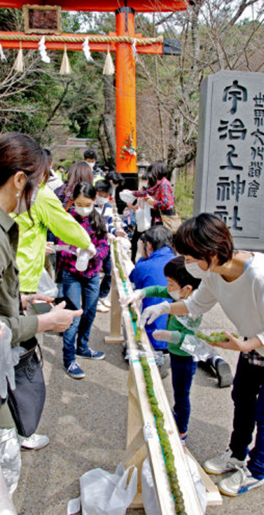 圖片來源：宇治上神社