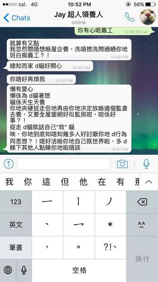 圖片來源：天下貓貓一樣貓