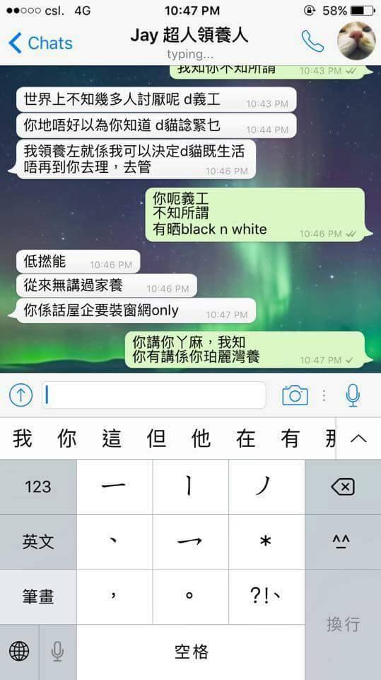 圖片來源：天下貓貓一樣貓