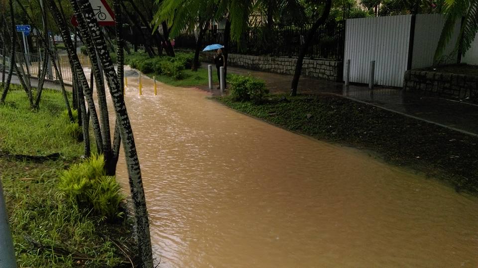 圖片來源：鄭嘉榮‎/Tai Po 大埔